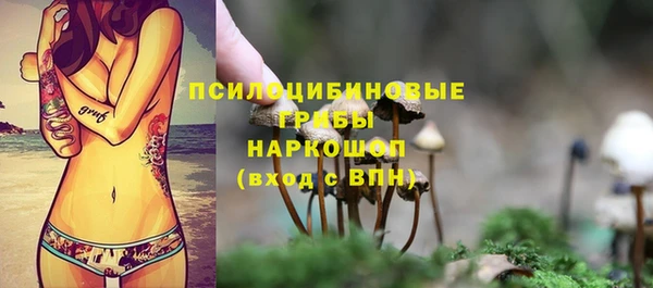 мет Лагань