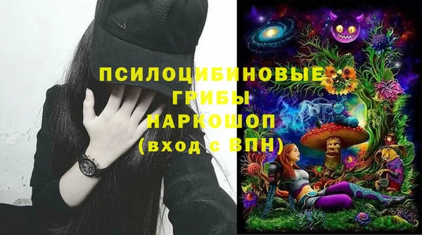 прущая мука Ладушкин