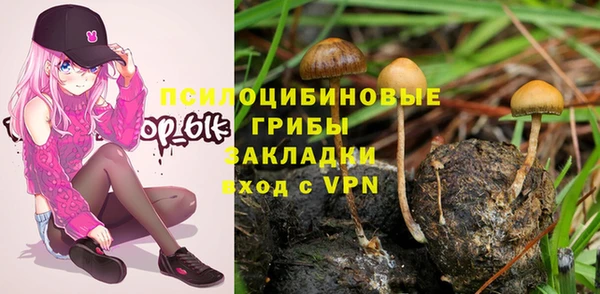 мет Лагань