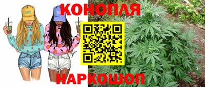 ECSTASY Камышлов