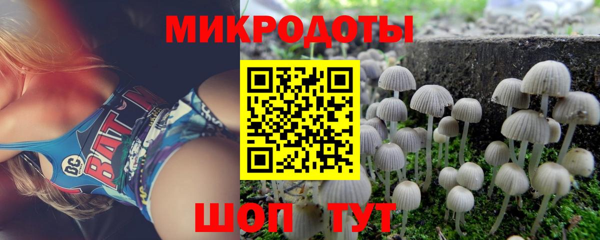 Псилоцибиновые грибы Cubensis  Псилоцибиновые грибы мицелий  Назарово 