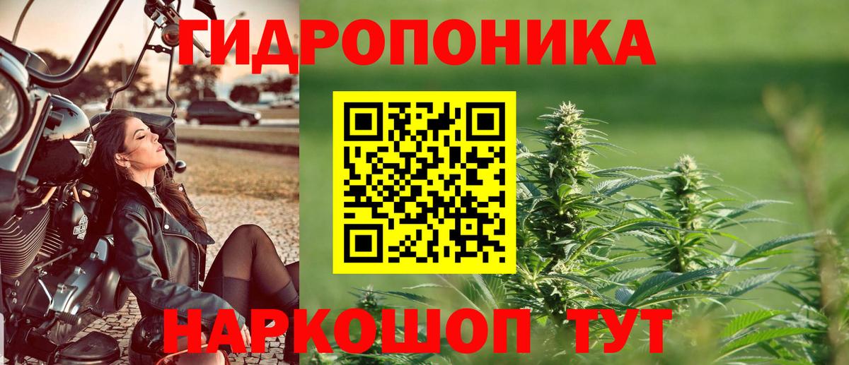Бошки марихуана SATIVA & INDICA Назарово